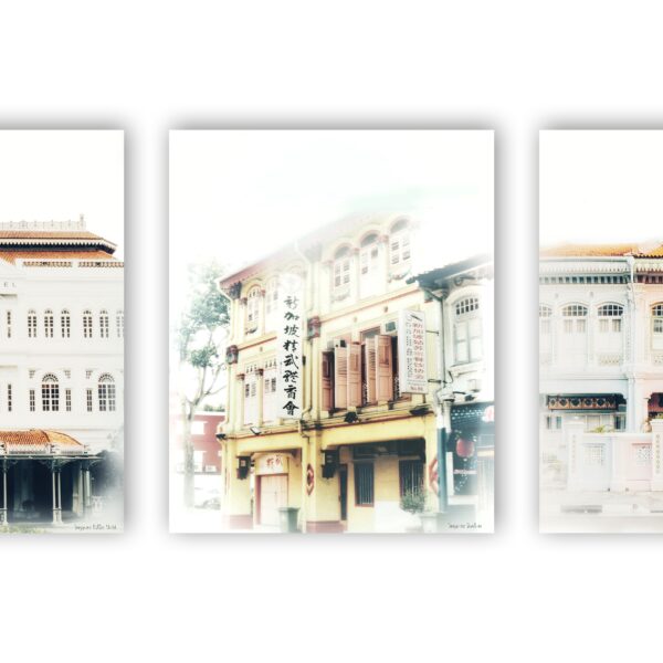 Duxton & Katong & Raffles