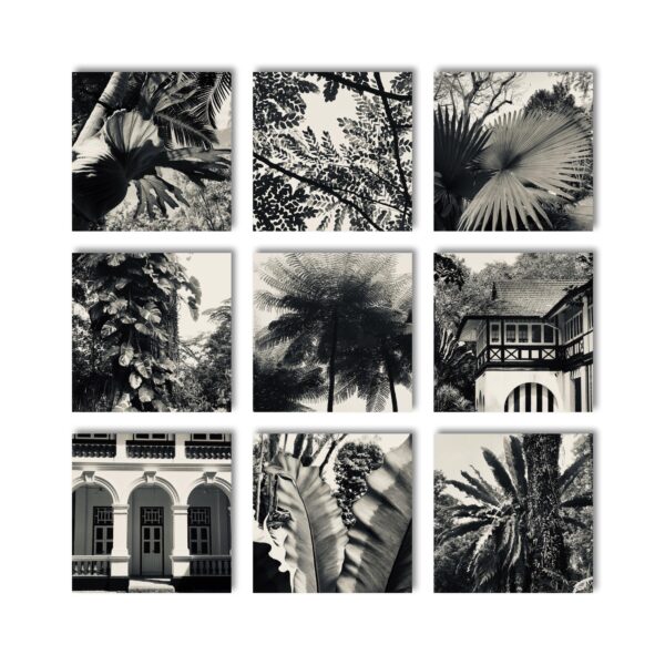 Singapore nature tiles