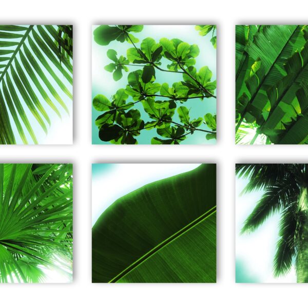 Singapore Green coasters